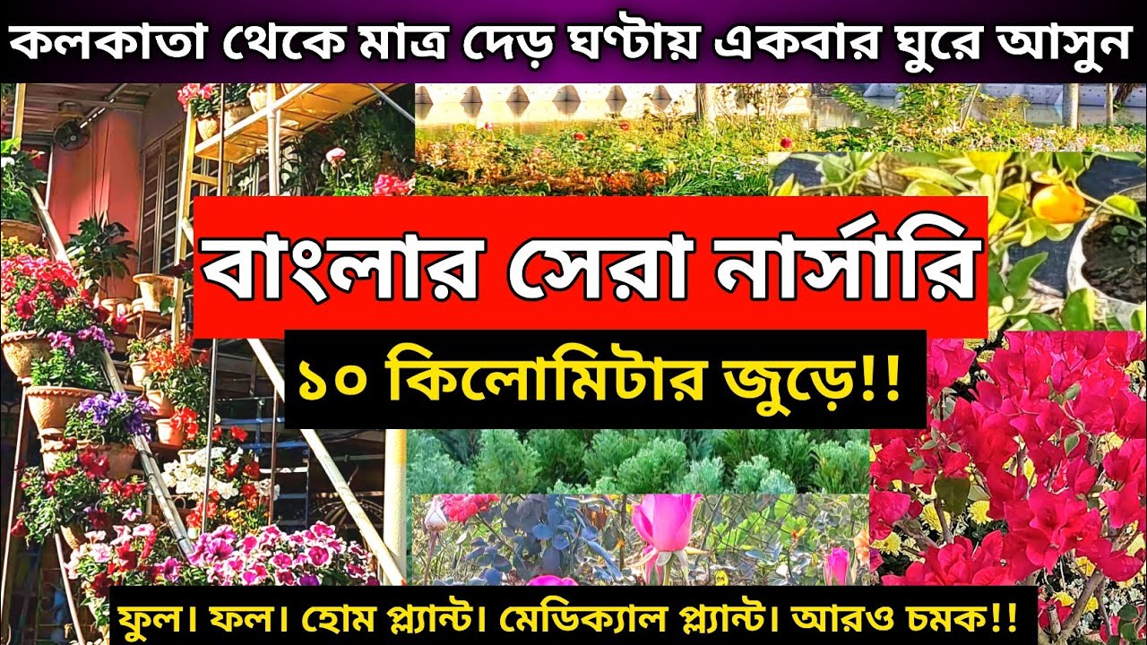 Jirat Nursery | Khamargachi Nursery | Best Agro Farm Tour Near Kolkata