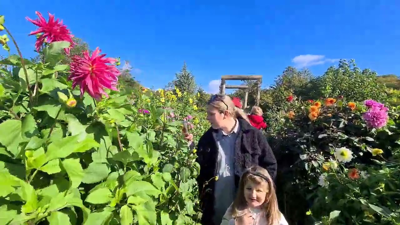 Slottsträdgården Malmö 🇸🇪 Slottsparken Malmö