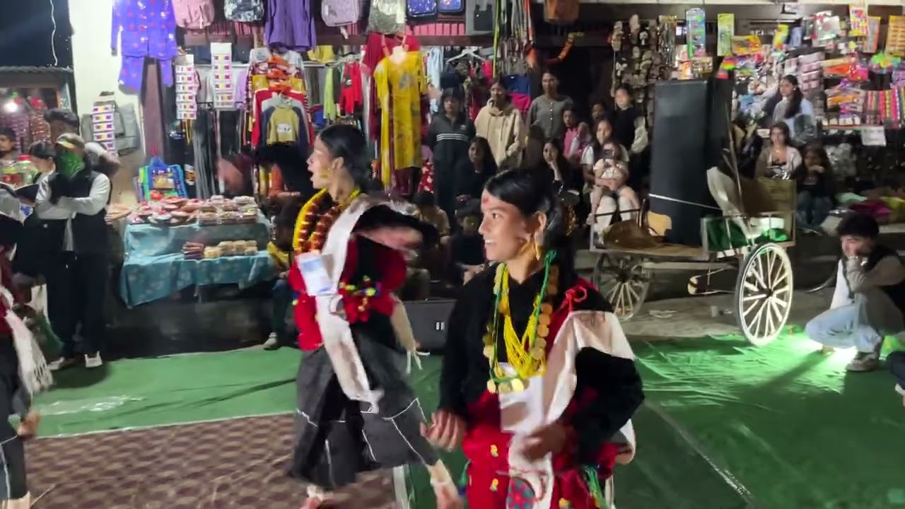 TIMI RAICHAU BHANJA // DEUSI BHAILO BAGLUNG 2082.