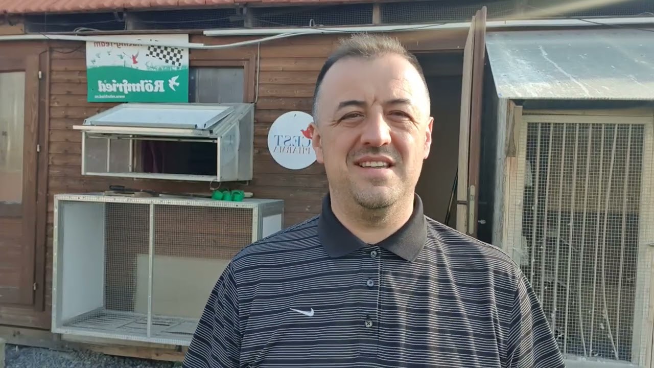 Cum las femelele afară?