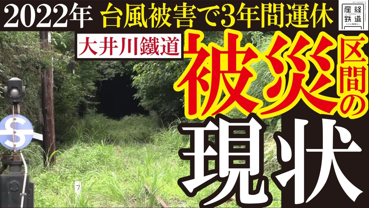 【大井川鐵道】台風被災区間を歩いてみた【被害の現状と今後】
