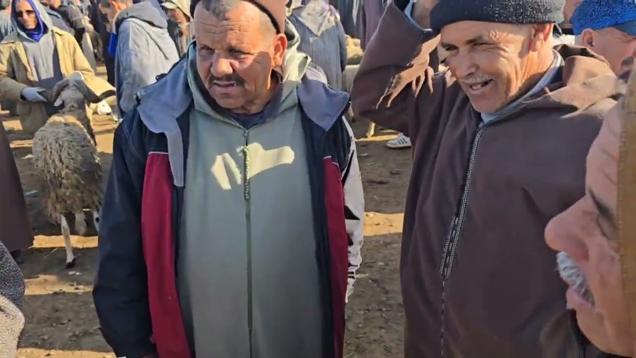  مباشرة من سوق جمعة كيسر مع اتمنة  13/03/2026