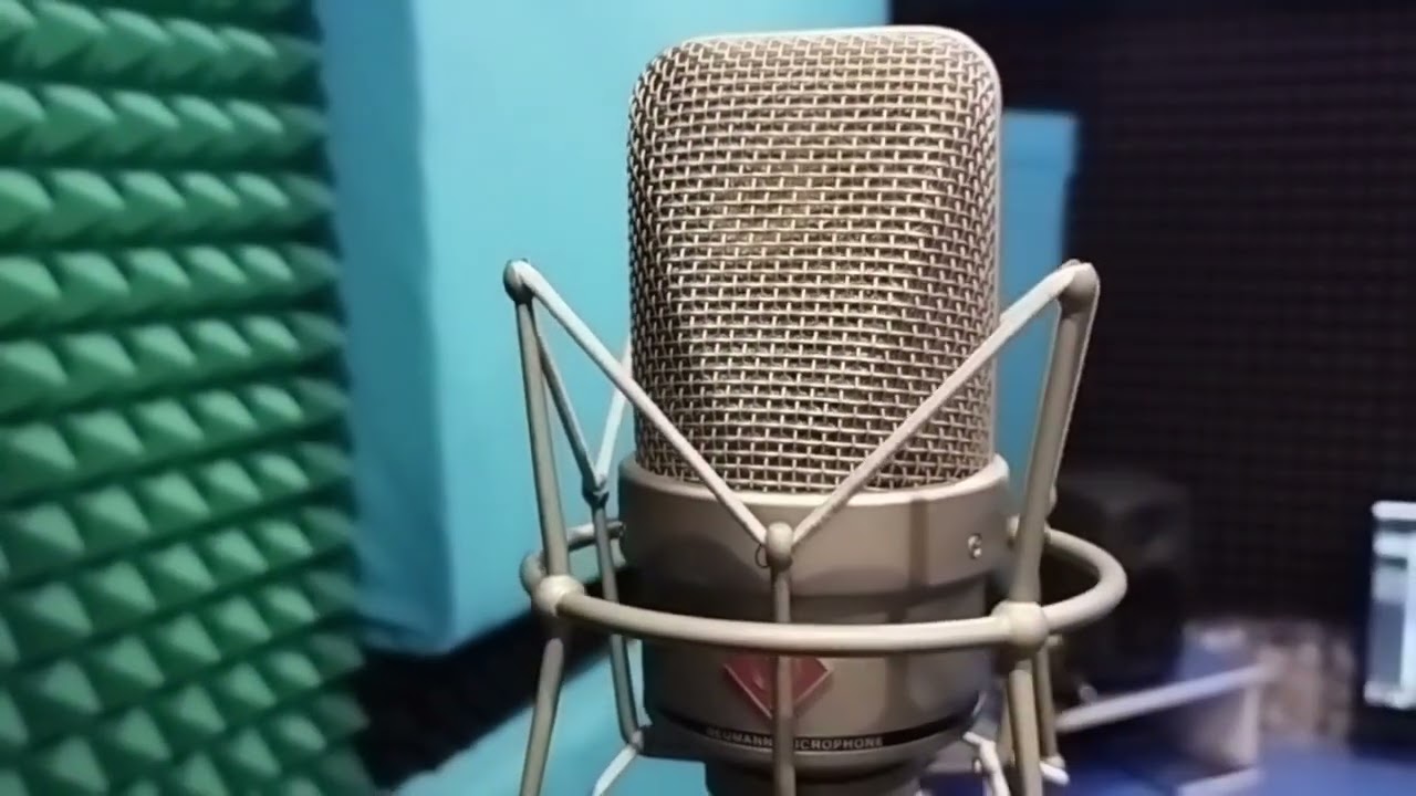Краткий обзор NEUMANN tlm 49