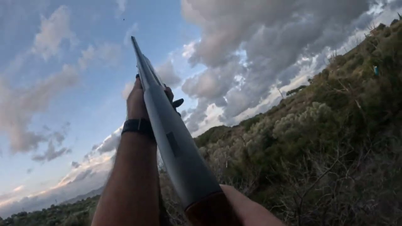 Kυνηγι τσιχλας 2024 Thrush hunting in Greece.