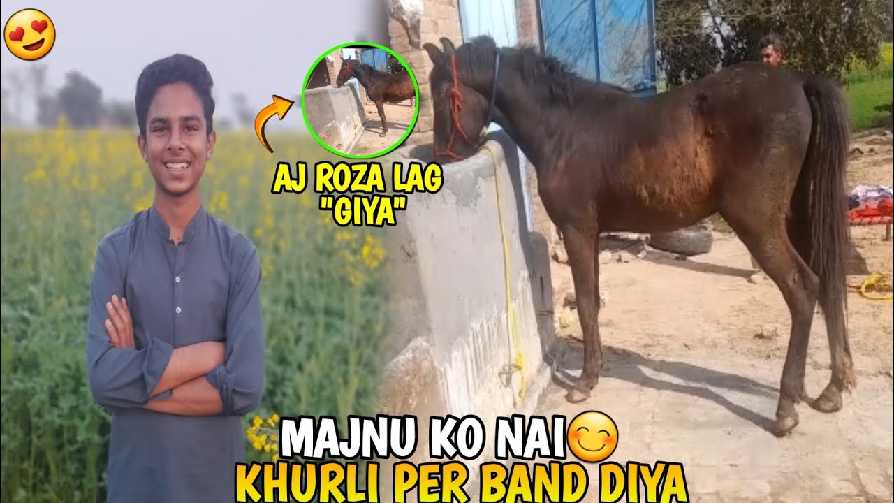MAJNU KO NAI KHURLI PER BAND DIYA &