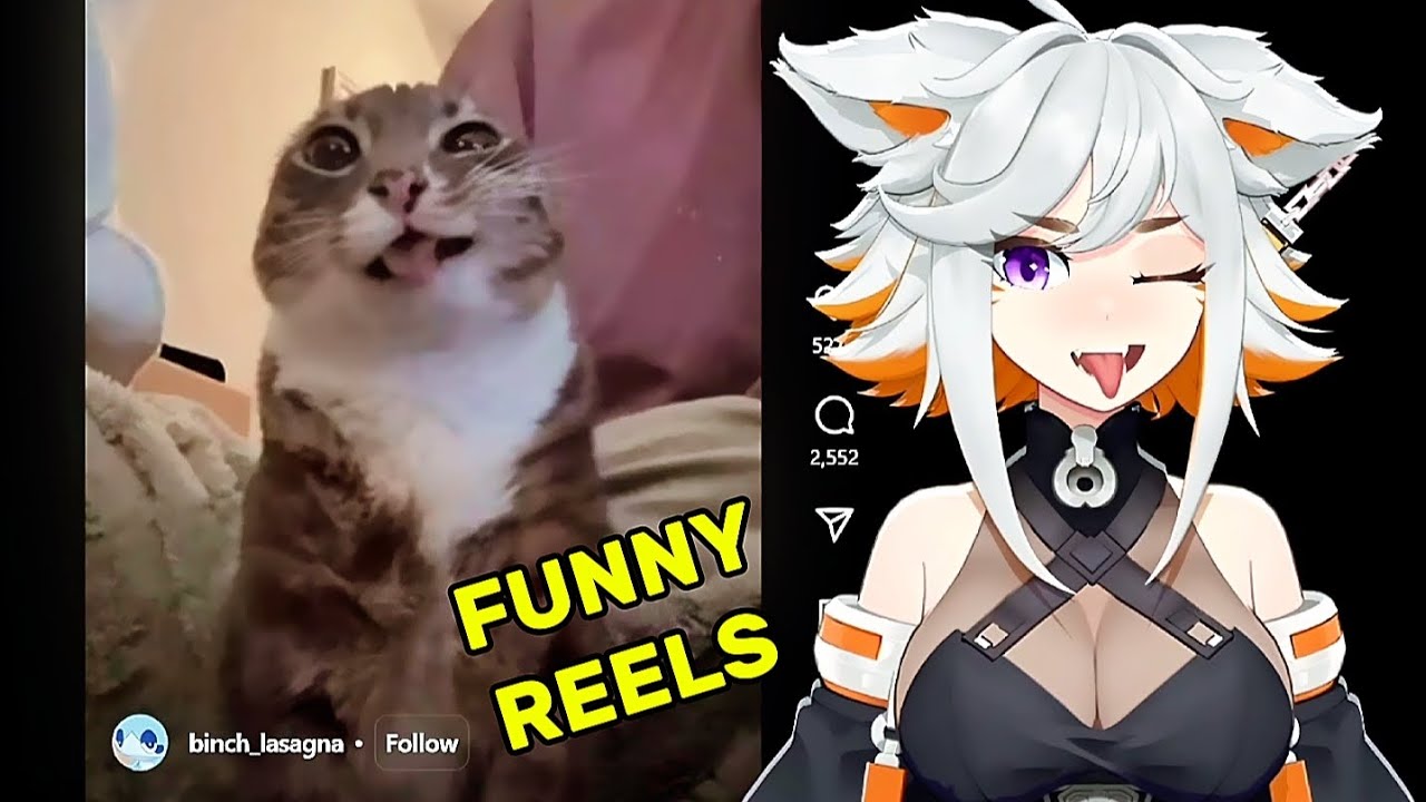 DEME REACT | FUNNY REELS MEMES COMPILATION TRY TO NOT LAUGH