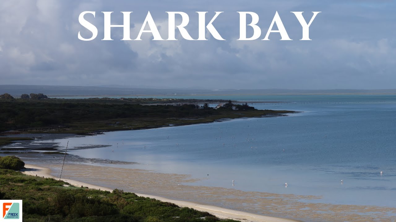 Shark Bay - Langebaan's Hidden Gem | Freek Properties