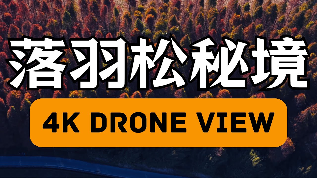 八德落羽松森林(大溪南興落羽松) 2026 4K 空拍｜Bade Bald Cypress Forest｜Drone View