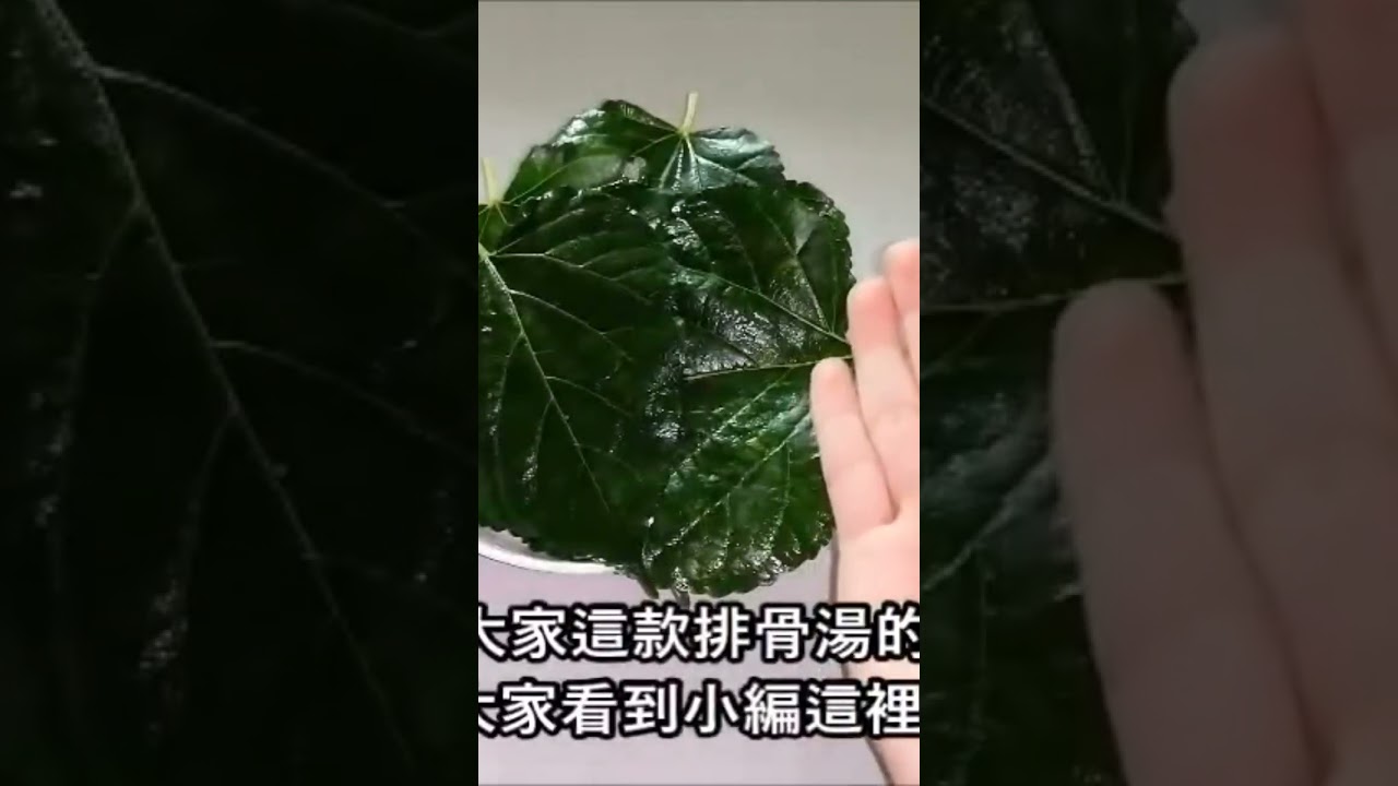 这碗草药汤帮你缓解关节疼痛，降血压，不失眠了~ #保健养生 #健康 #天然食材 #健康食谱 #养生