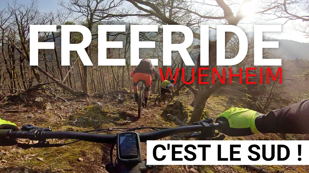 VTT : Traces freeride à Wuenheim avec la Boite à Meuh 🐮