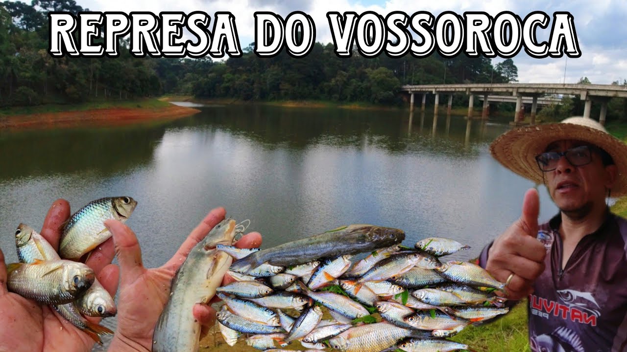 As lambaris estavam atacando com força  😂 Represa do Vossoroca  