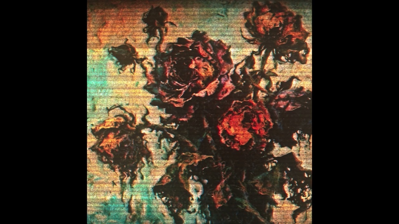 𝕕𝕚𝕤𝕥𝕒𝕟𝕥𝕜𝕚𝕕 - 𝕥𝕙𝕖 𝕓𝕖𝕒𝕦𝕥𝕚𝕗𝕦𝕝 𝕖𝕩𝕡𝕚𝕣𝕖