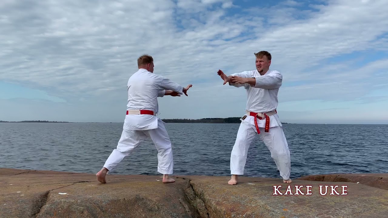 Kihon sho kata