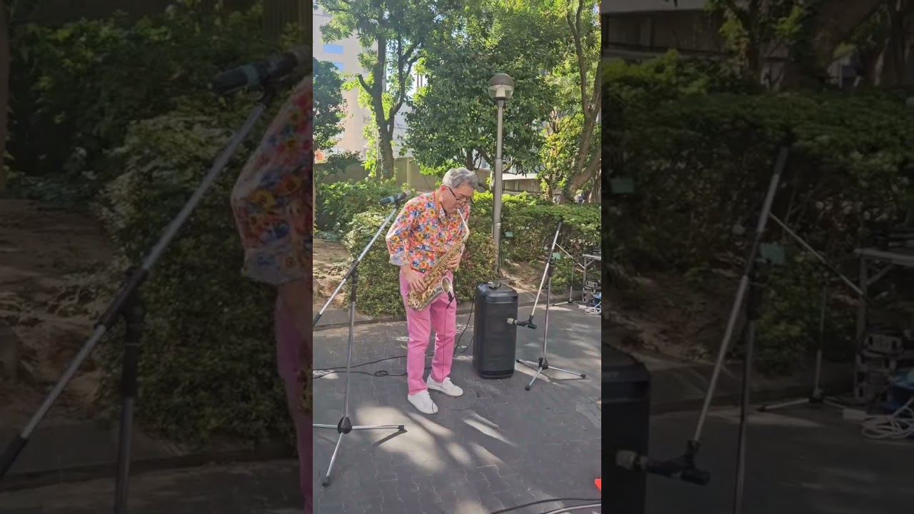 summer samba 明星和楽2025 bluescobra