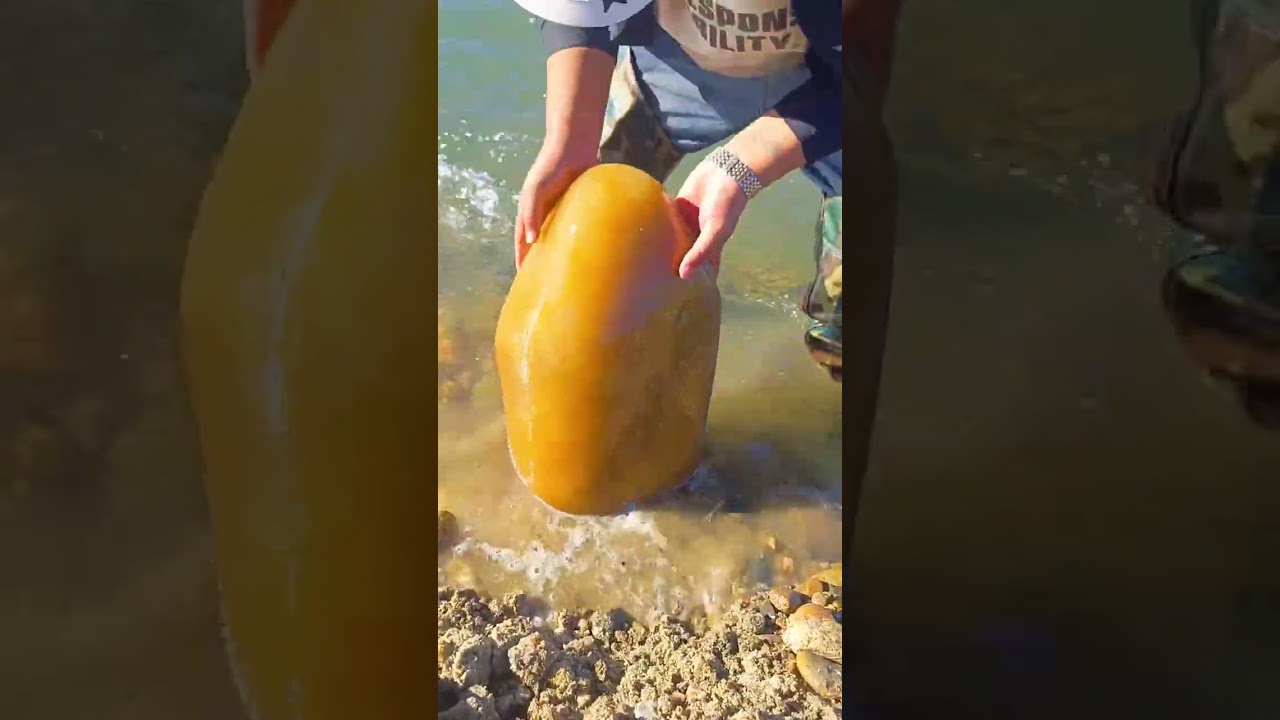 Este chico encontr&oacute; una piedra incre&iacute;ble en el mar 👏