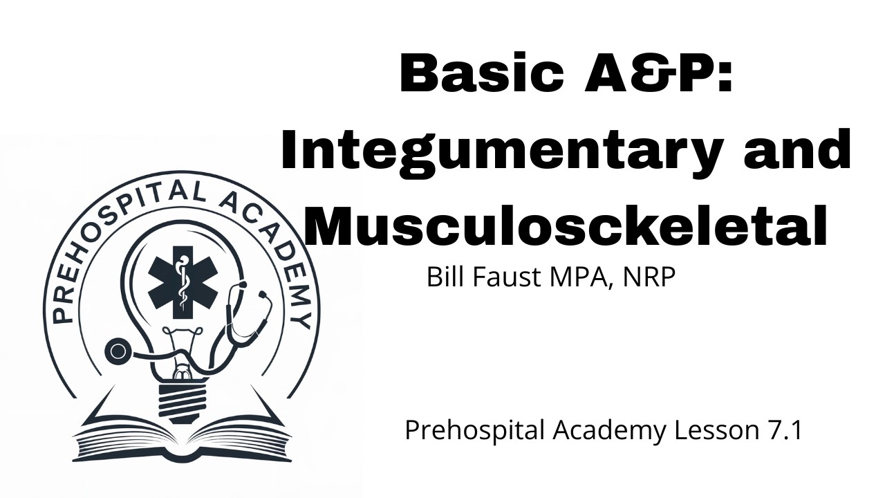 A&P  Skin Musculoskeletal
