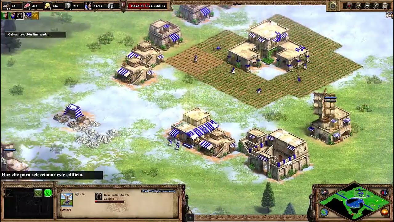 Age of Empires II  Definitive Edition - Atacar y Huir.