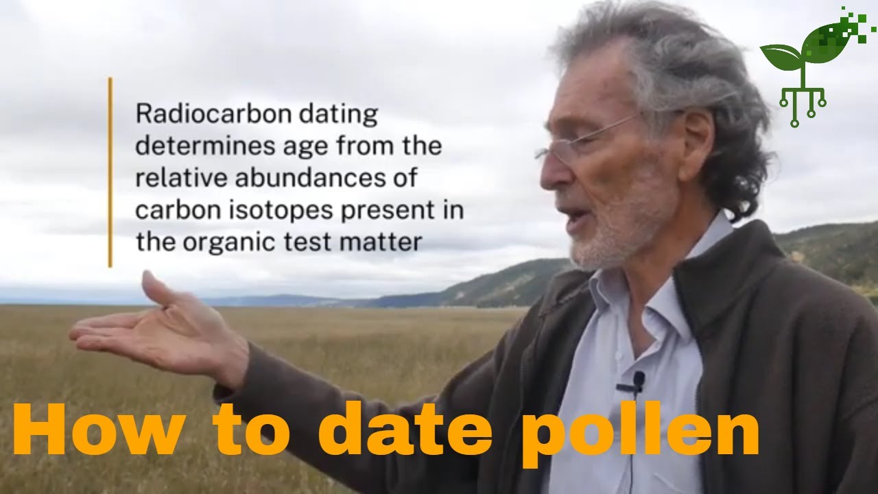 How to date pollen | Earth Hazards | meriSTEM