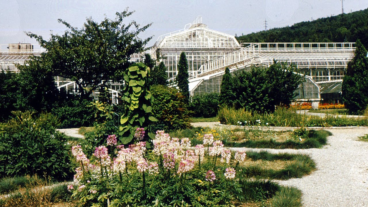 Dominanty Košíc - Botanická záhrada UPJŠ