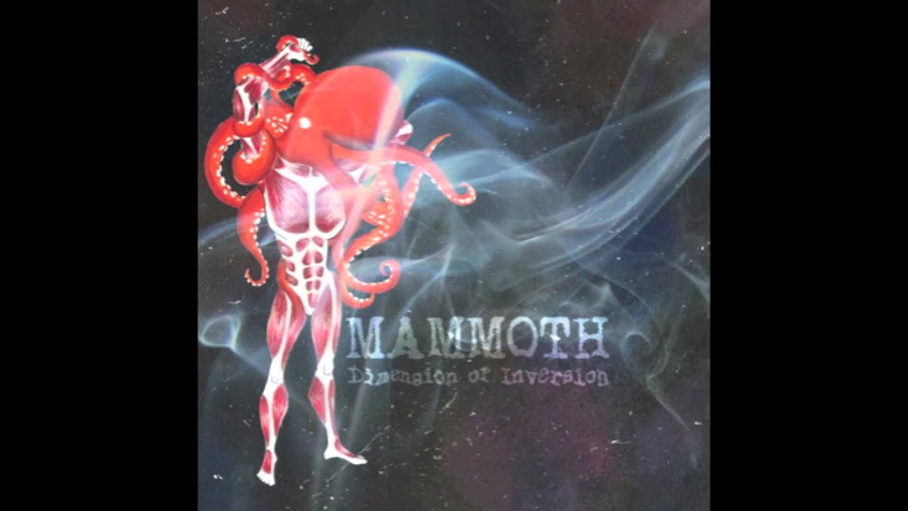 Mammoth - Metta Warm Fleece