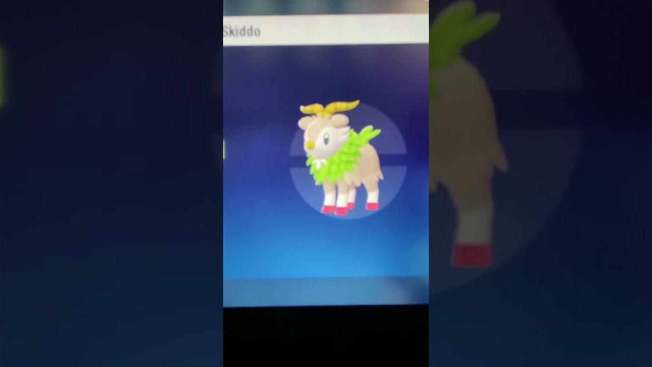 My last week of shiny hunting 2025 (Pokemon legends ZA)