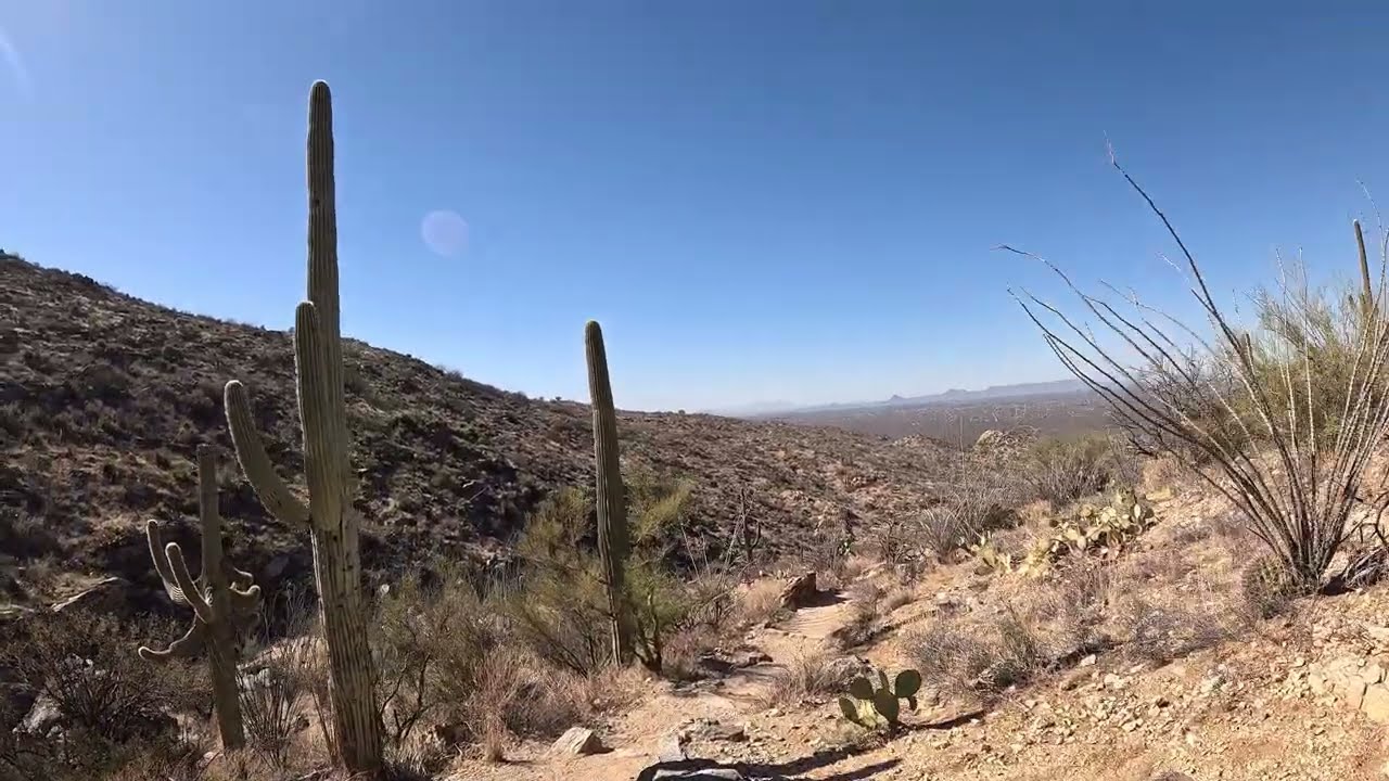 Arizona: Ernies Falls