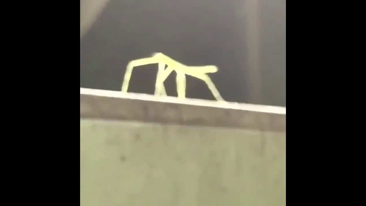 Stick Bug Song TRAP REMIX (Bee Swarm Simulator)