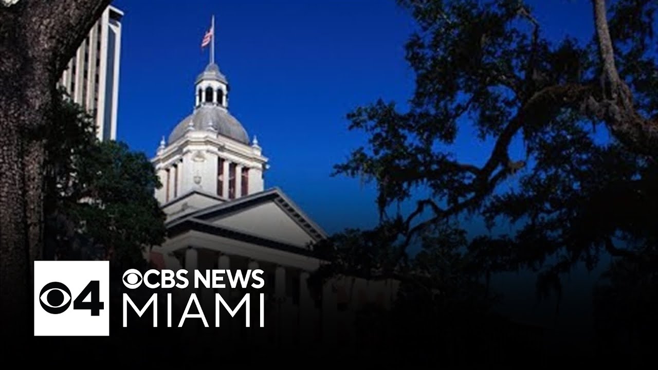 Florida House moves forward with sales tax cuts; Tristin Murphy Act pushes on | Facing South Florida