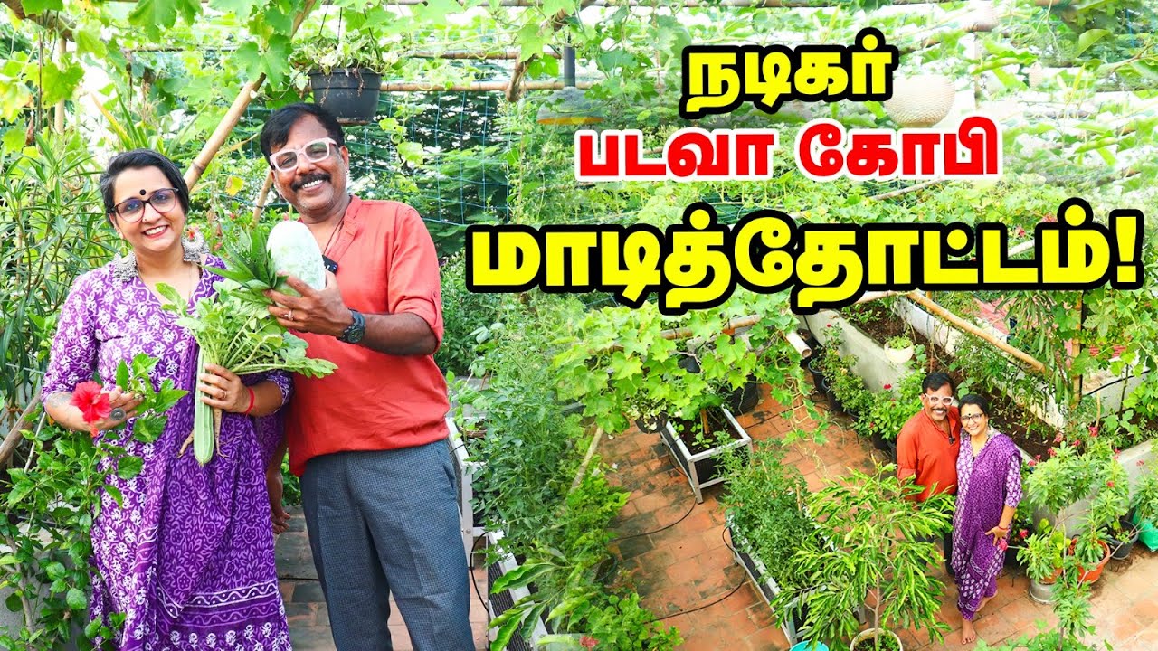 நடிகர் படவா கோபி மாடித்தோட்டம் | Actor Badava Gopi Garden Tour | Pasumai Vikatan