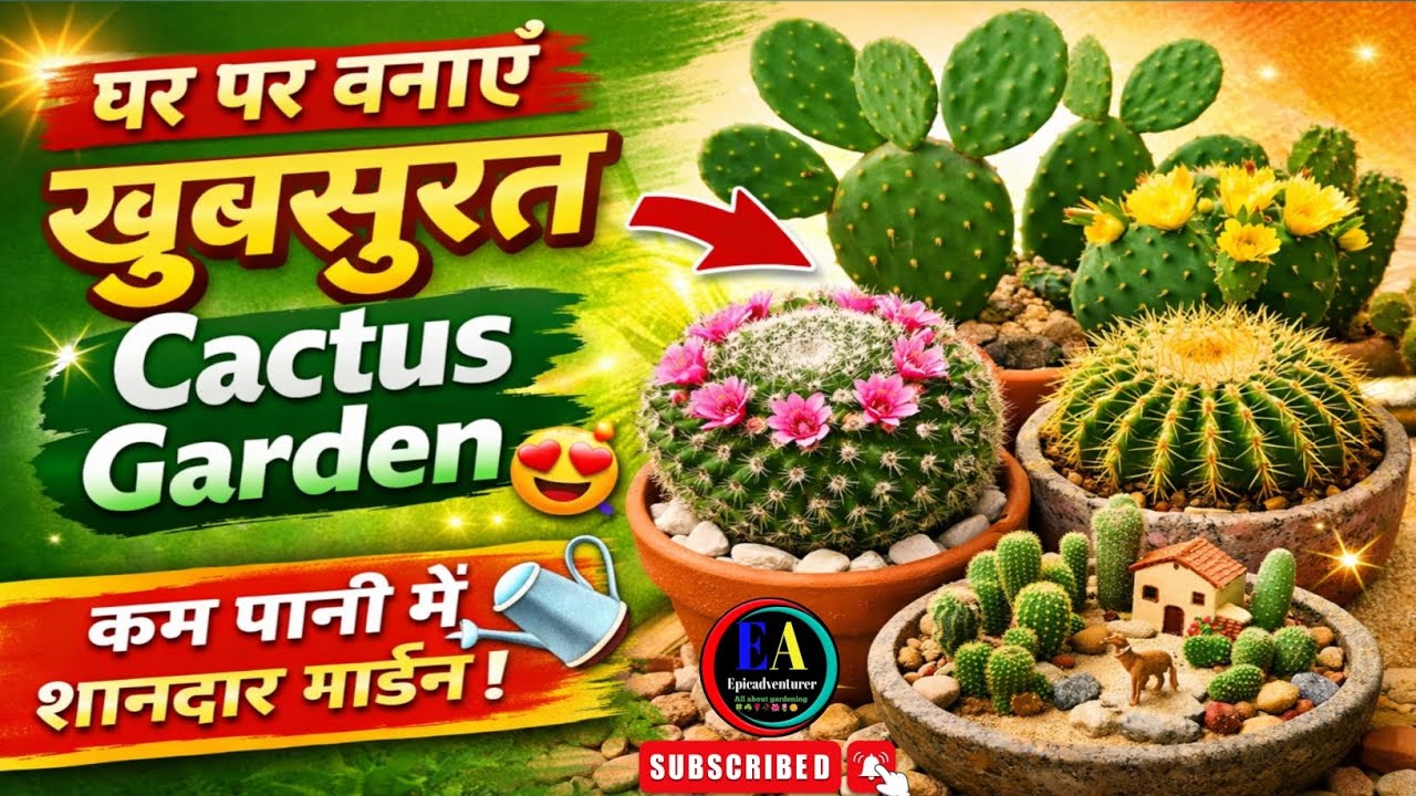 ||🌵ऐसा कैक्टस गार्डन कभी नहीं देखा होगा! 😲🌵 ||  #epicadventurer #cactus 