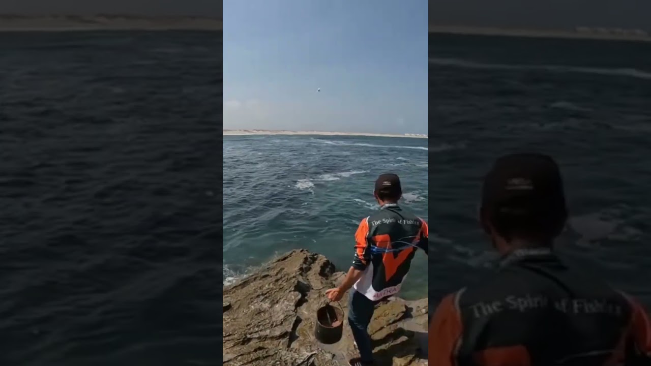 Como colocar o engodo na &aacute;gua #fishing #pesca #pescaria #sargos #vega