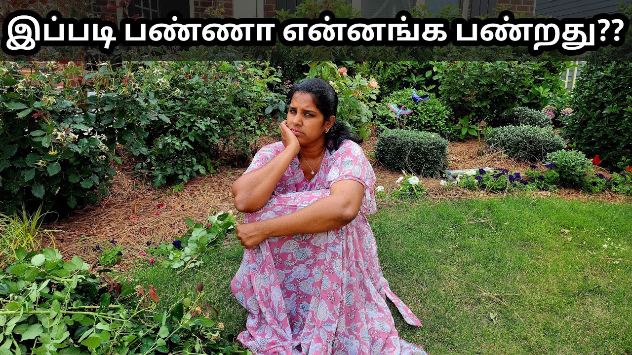 ஒவ்வொரு வருஷமும் இதே போராட்டம் தாங்க | Cutting my plants with a heavy heart | Garden Vlog 2025 #vlog