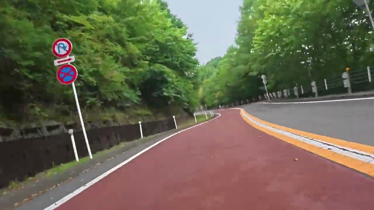 奥多摩周遊道路ハイライト