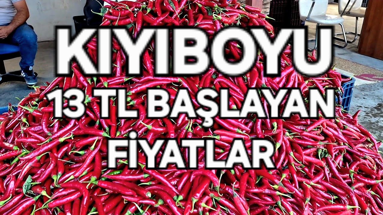ADANA❗️SEYHAN KIYIBOYU FATİH İTFAİYE ARKASI SALÇALIK BİBER FİYATLARI #keşfet #salçalıkbiber #seyhan 