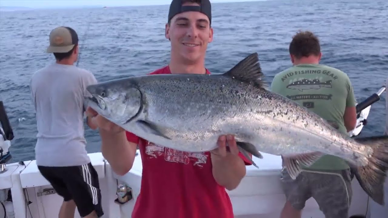 King Salmon Fishing Lake Michigan out of Frankfort