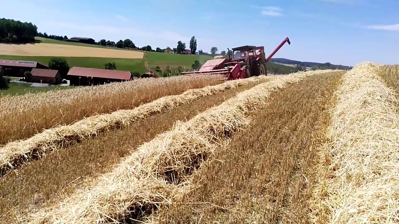 Same Saturno 80 mit JF MS 105 M&auml;hdrescher