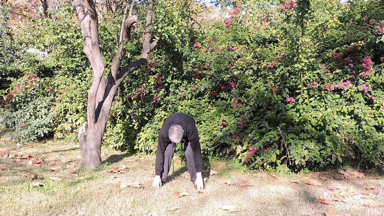 Chikung para Invierno.