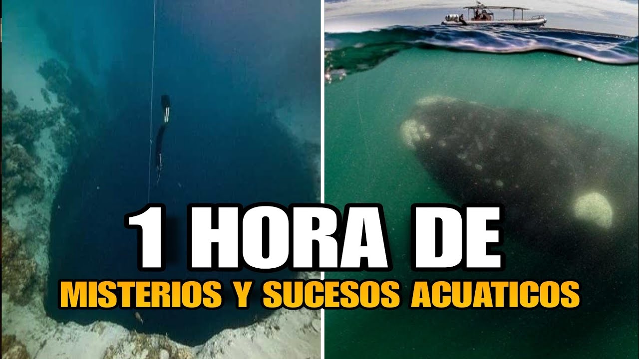 1 HORA de MISTERIOS y SUCESOS ocurridos en el MAR y el AGUA 🌊