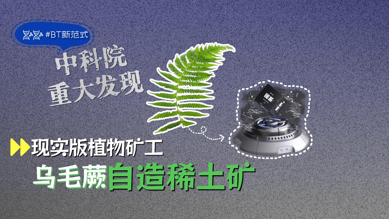 A rare stone crystal found in the Chinese Academy of Sciences.