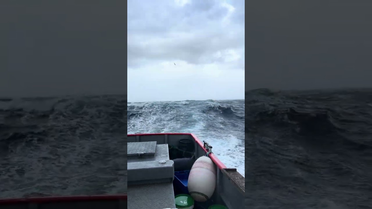 Em viagem para o Porto São Mateus ilha terceira Açores 🏴‍☠️🙏01-02-2026 🛥️Patrícia Catarina 🏴‍☠️🙏