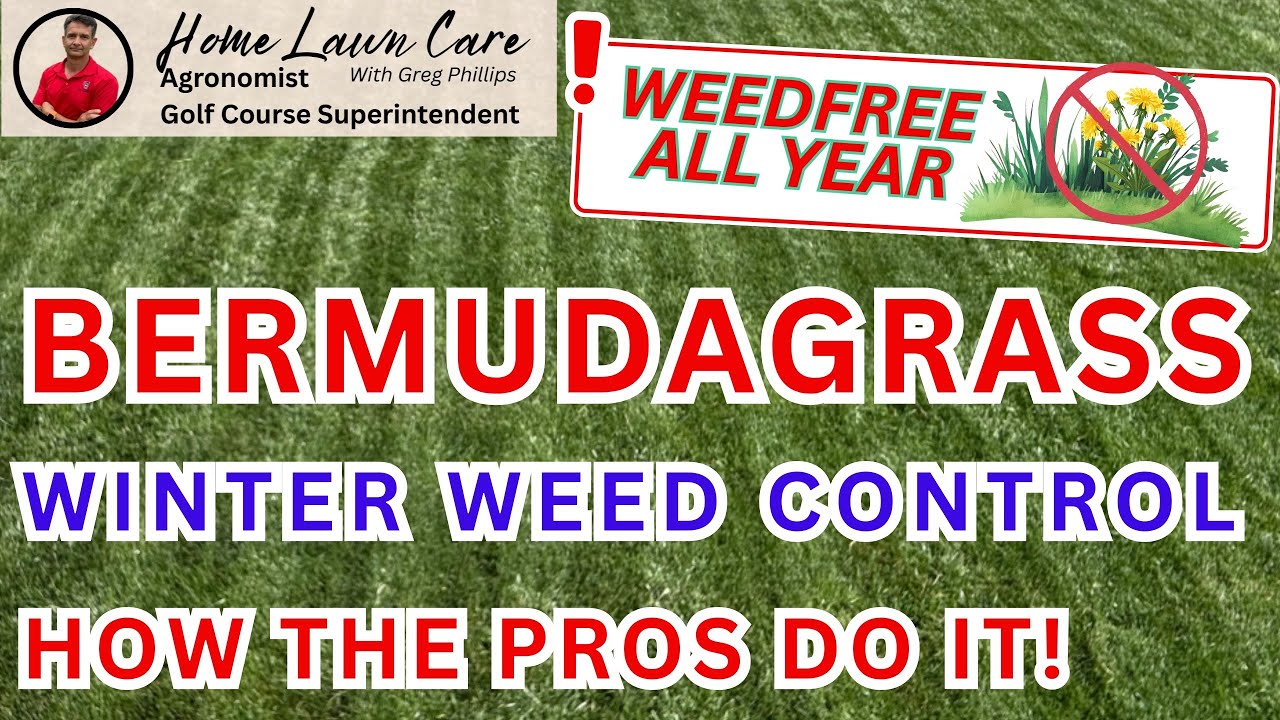 Ваш круглогодичный план борьбы с сорняками начинается с этого одного шага.