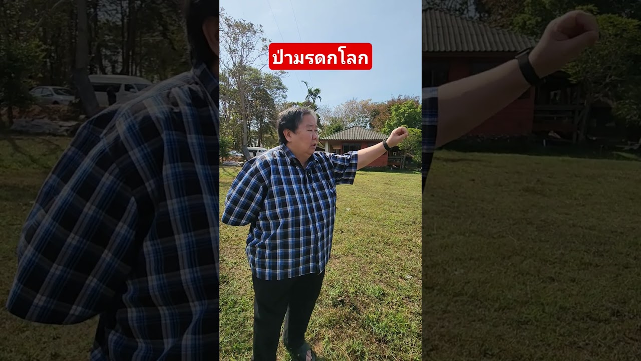 ป่ามรดกโลก ที่บุรีรัมย์ 