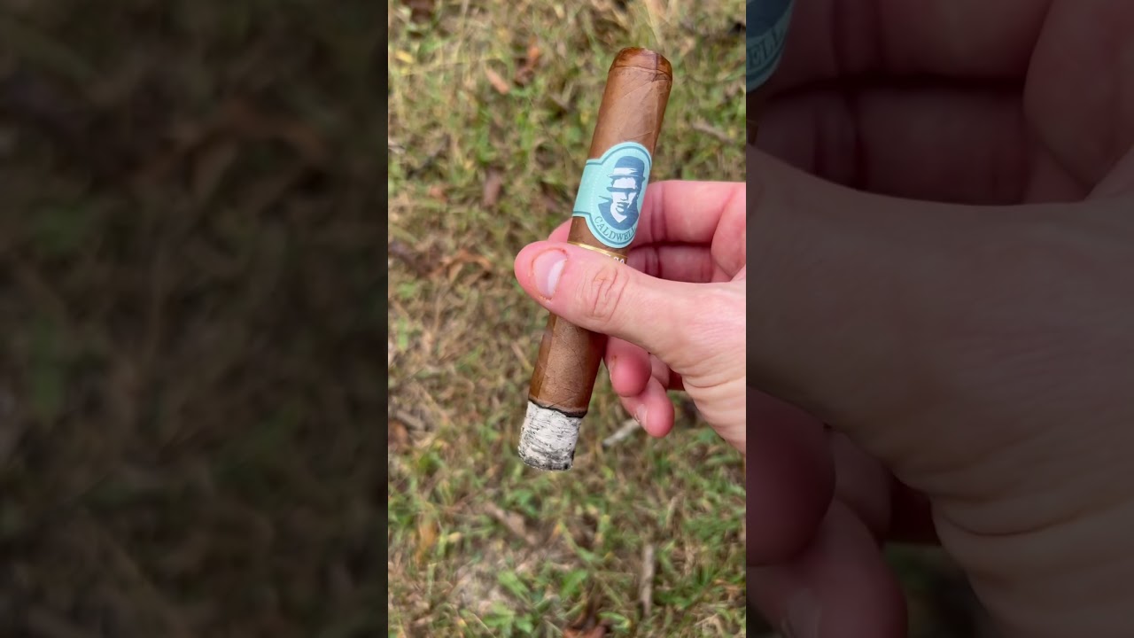 Really nice smoke! #chillin #cigars #relaxing #asmr #smooth #smoke #viral #youtubeshorts #cigar