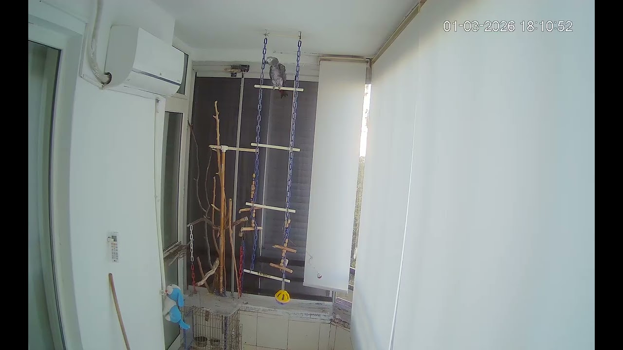 KİM GELMİŞ OLUM BİZE GAMZENİN BABASI MUSTAFAAAAA GELMİŞ