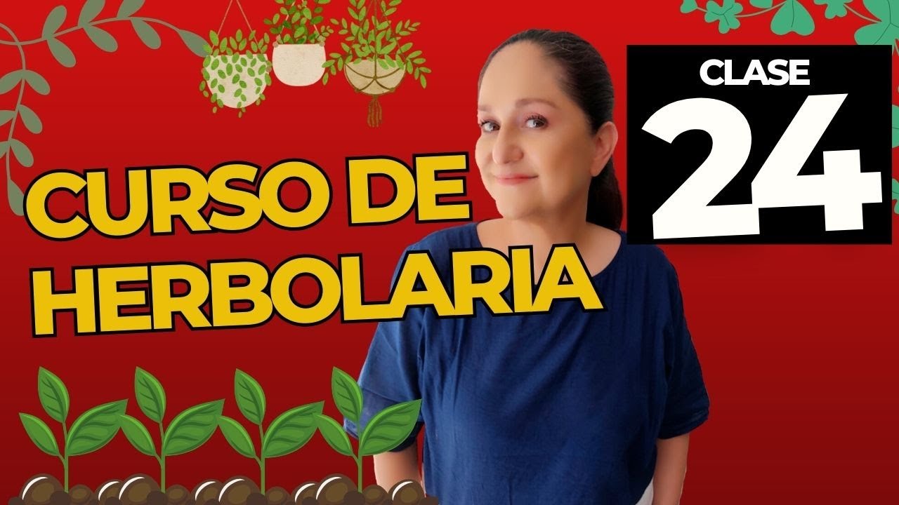 Clase 24 Herbolaria: F&oacute;rmulas Magistrales de Herbolaria | Extractos, C&aacute;psulas y Shampoo Natural 🌿✨