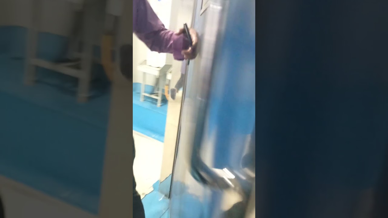 Clean Room Door