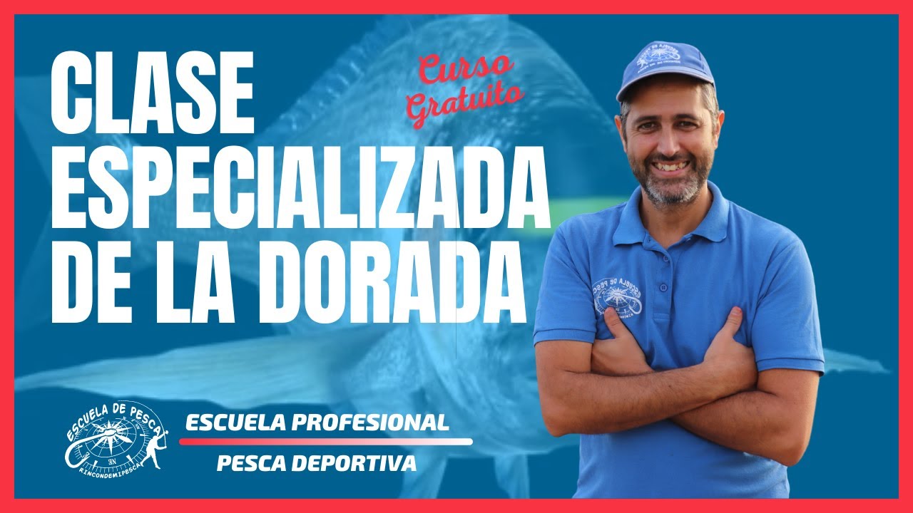 ¿CUANDO, COMO Y DONDE COME LA DORADA?