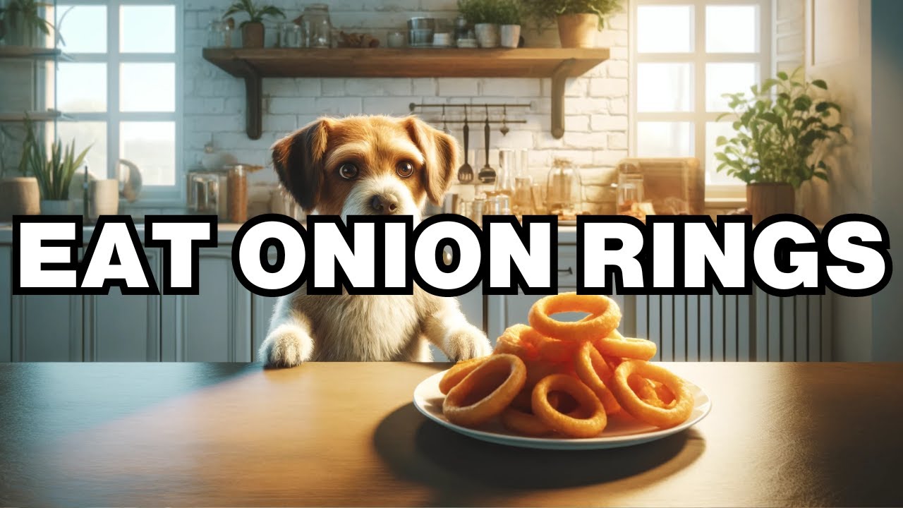 Can Dogs Eat Onion Rings? Explained