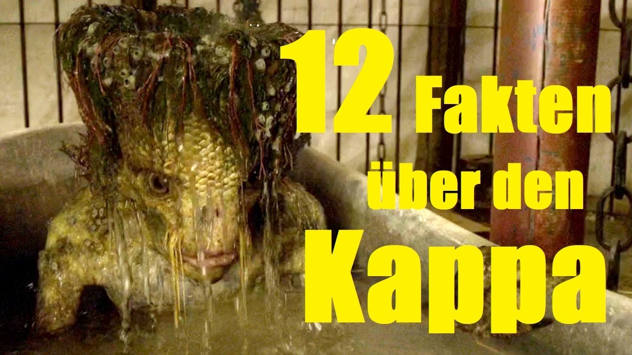 12 FAKTEN über den KAPPA 🐸