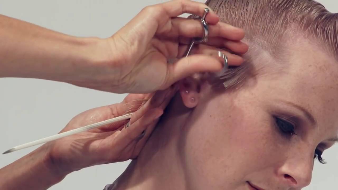 Sassoon Shape And Balance Part Two  Cut